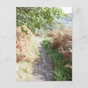 Footpath Coniston England Card Postkarte
