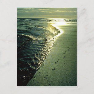 Footprints in Sand, Piha, North Island Postkarte