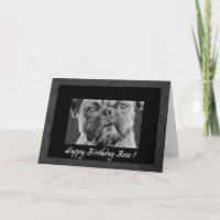 for Boss Funny Pug Dog Birthday