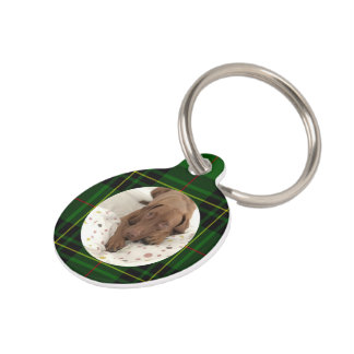 Forbes Tartan Green Dog anpassen Haustiermarke