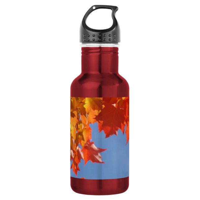 förderndes buntes Herbst-Blätter Edelstahlflasche (Vorderseite)