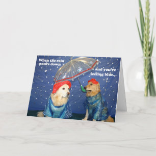 Förderung der Blues am Regentag Karte