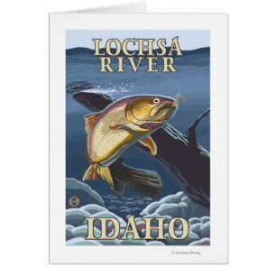 Forelle, die Querschnitt - Lochsa fischt, Fluss,