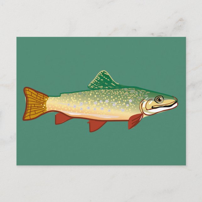 Forelle Fish Art Illustration Postkarte (Vorderseite)