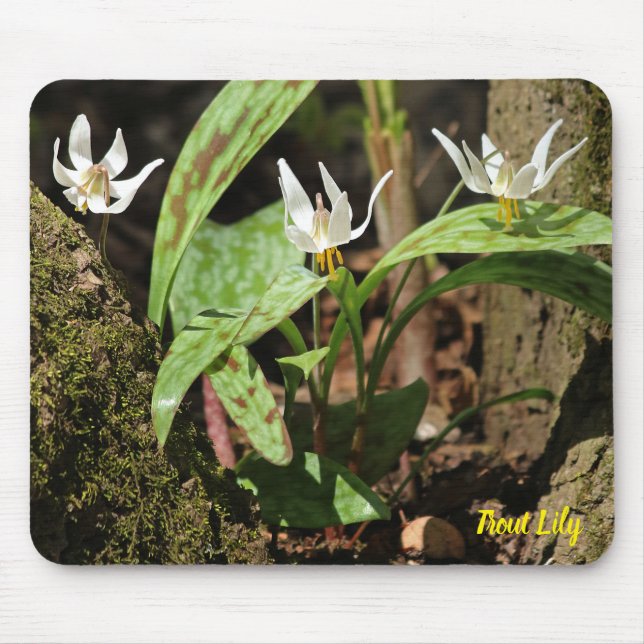 Forelle Lily Mouse Pad Mousepad (Vorne)