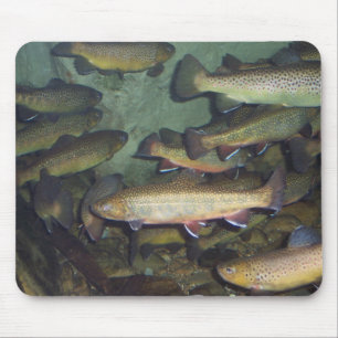 Forelle mousepad