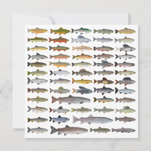 Forellen, Char, Grayling, Hucho und Whitefish Grou Mitteilungskarte