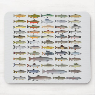 Forellen, Char, Grayling, Hucho und Whitefish Grou Mousepad