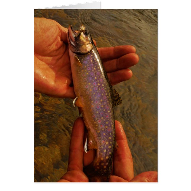 Forellen in Händen (Vorne)