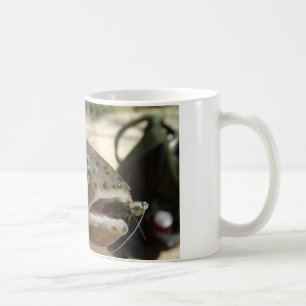 Forellen in Händen Kaffeetasse