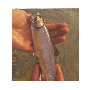 Forellen in Händen Notizblock