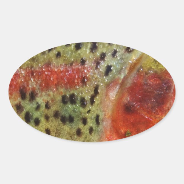 Forellen in Händen Ovaler Aufkleber (Vorderseite)