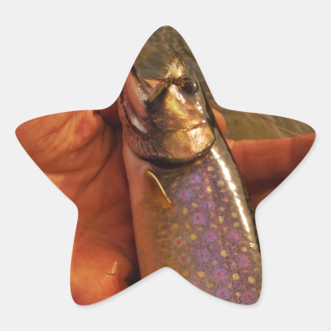 Forellen in Händen Stern-Aufkleber (Vorderseite)