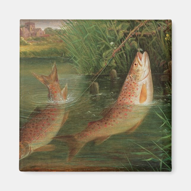 Forellen in Winchester Magnet (Vorne)