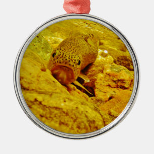 Forellen Silbernes Ornament
