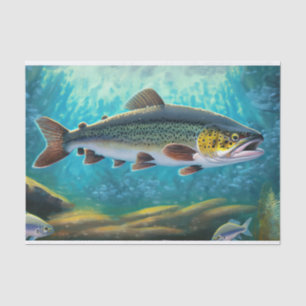 Forellenfischerei Seidenpapier