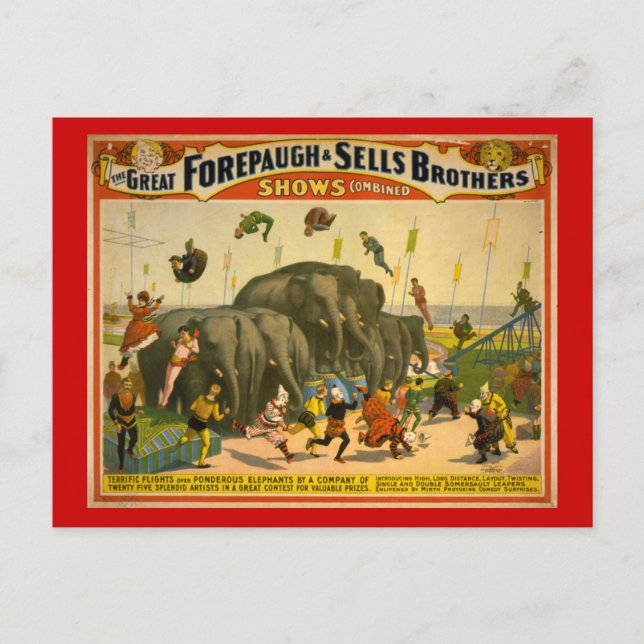 Forepaugh & Sells Brüder Elefanten Circus Poster Postkarte (Vorderseite)