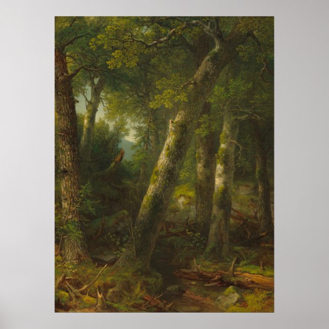 Forest - Asher Durand Fine Art Poster (Vorne)