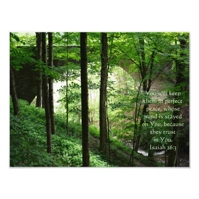 Forest Bridge Isaiah 26:3 Grüne Blätter Fotodruck (Vorne)
