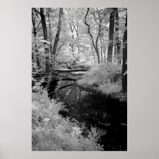 Forest Brook  infrared Poster