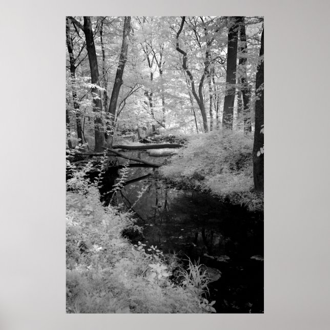 Forest Brook  infrared Poster (Vorne)