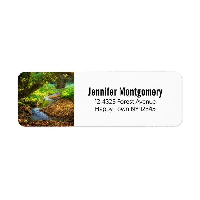 Forest Creek Schöne Landschaft Foto (Vorne)