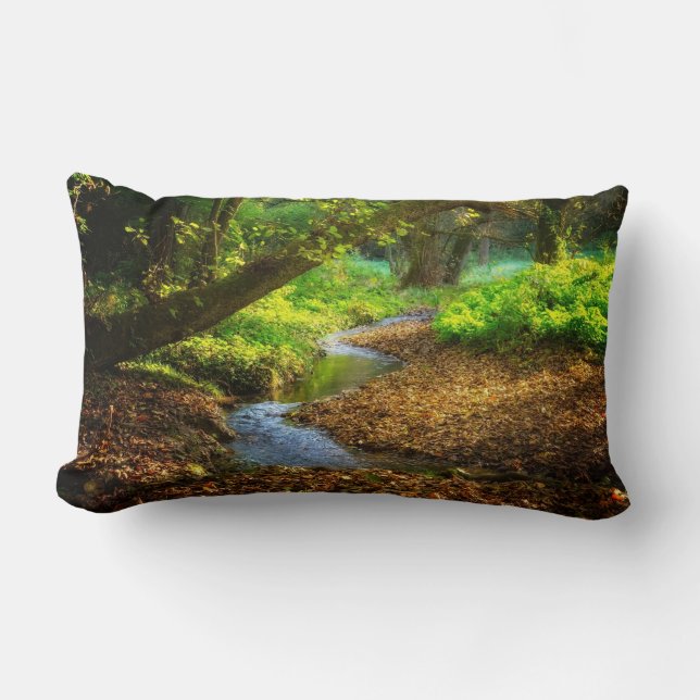 Forest Creek Schöne Landschaft Foto Lendenkissen (Vorderseite)