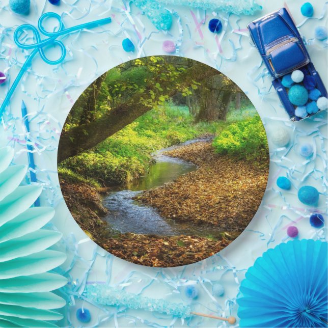 Forest Creek Schöne Landschaft Foto Pappteller (Party)