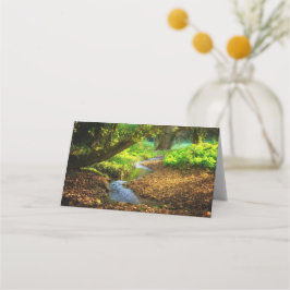 Forest Creek Schöne Landschaft Foto Platzkarte