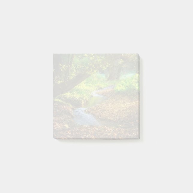 Forest Creek Schöne Landschaft Foto Post-it Klebezettel (Vorderseite)
