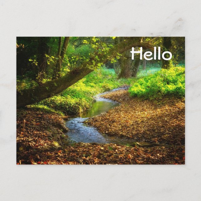 Forest Creek Schöne Landschaft Foto Postkarte (Vorderseite)