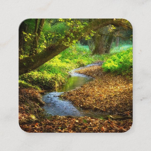 Forest Creek Schöne Landschaft Foto Quadratische Visitenkarte (Vorderseite)