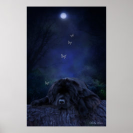 Forest Dreamer Poster