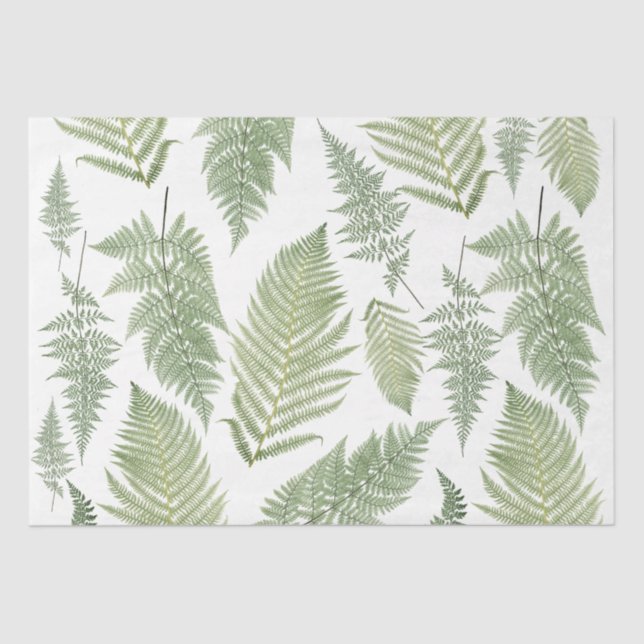 Forest Fern Fronds Vintage Vegetation Botanischer  Seidenpapier (Vorderseite)