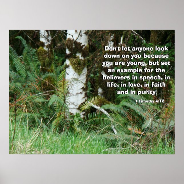 Forest Ferns von Gott Print aufgerufen Poster (Vorne)