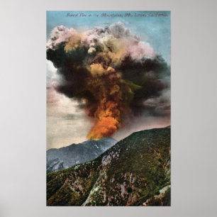 Forest Fire view in Mountains Poster