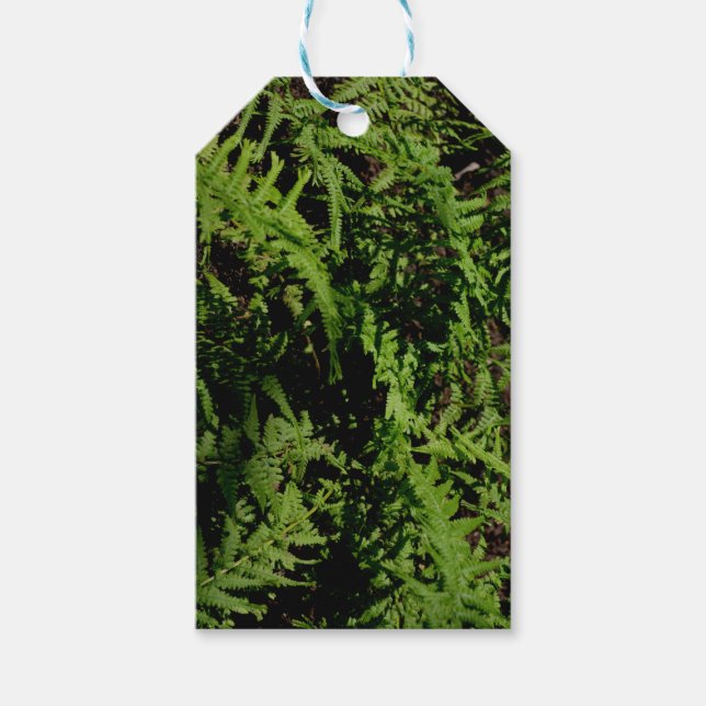 Forest Floor Ferns Geschenkanhänger (Vorderseite)