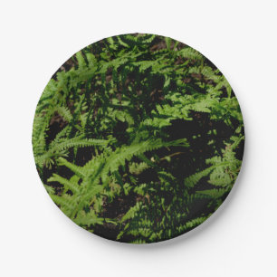 Forest Floor Ferns Pappteller