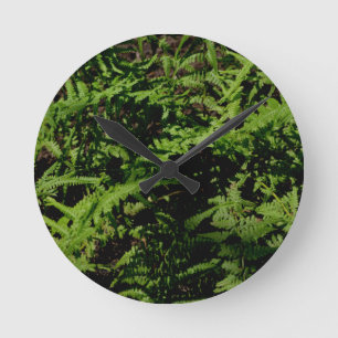 Forest Floor Ferns Runde Wanduhr