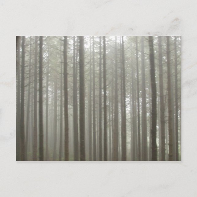 Forest Forest Postcard Postkarte (Vorderseite)