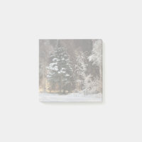 Forest Forest Scene Post-It Notes