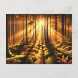 Forest Glow - Postkarte