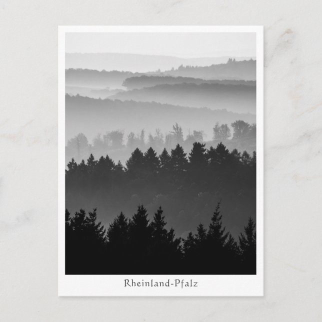 Forest Hills Landscape Foto Postkarte (Vorderseite)