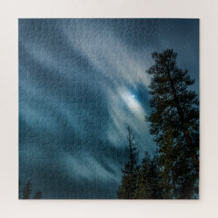 Forest in Moonlight Night Sky
