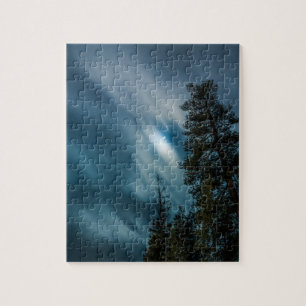 Forest in Moonlight Night Sky