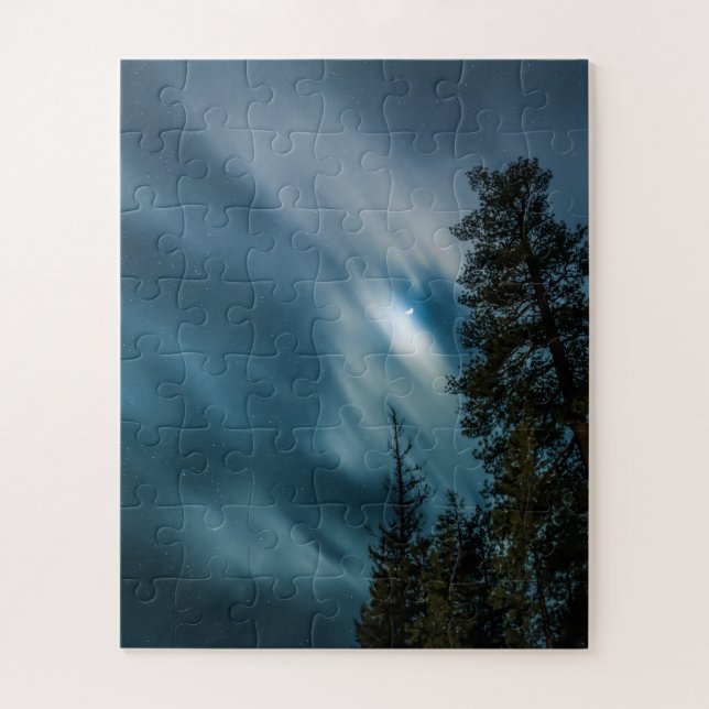 Forest in Moonlight Night Sky (Vertikal)