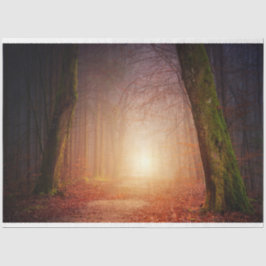 Forest Light 17 Decoupage Tissue Paper Seidenpapier