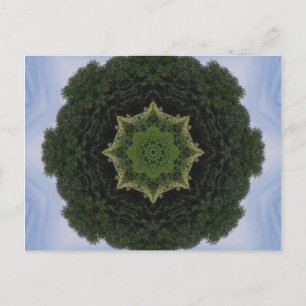 Forest Mandala Postkarte