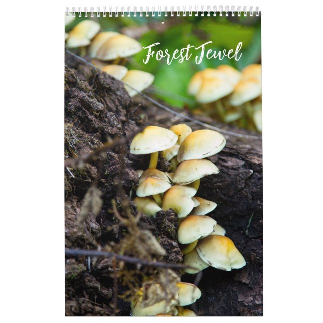 Forest Mushrooms Calendar Kalender (Titelbild)