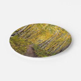 Forest of Aspen Trees Pappteller